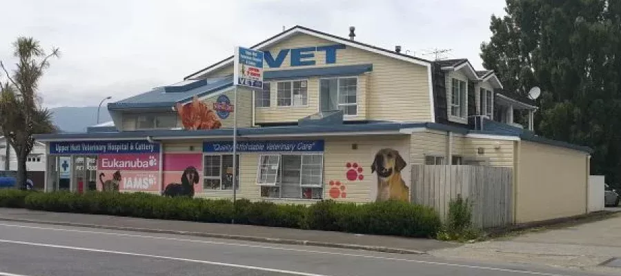 Upper Hutt Veterinary Hospital and Cattery