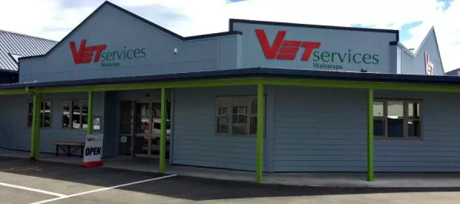 Vet Services Masterton