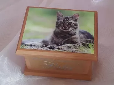 Laminate Cat Urn